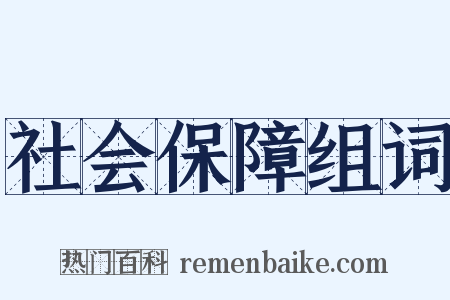 社会保障组词是什么意思的图片